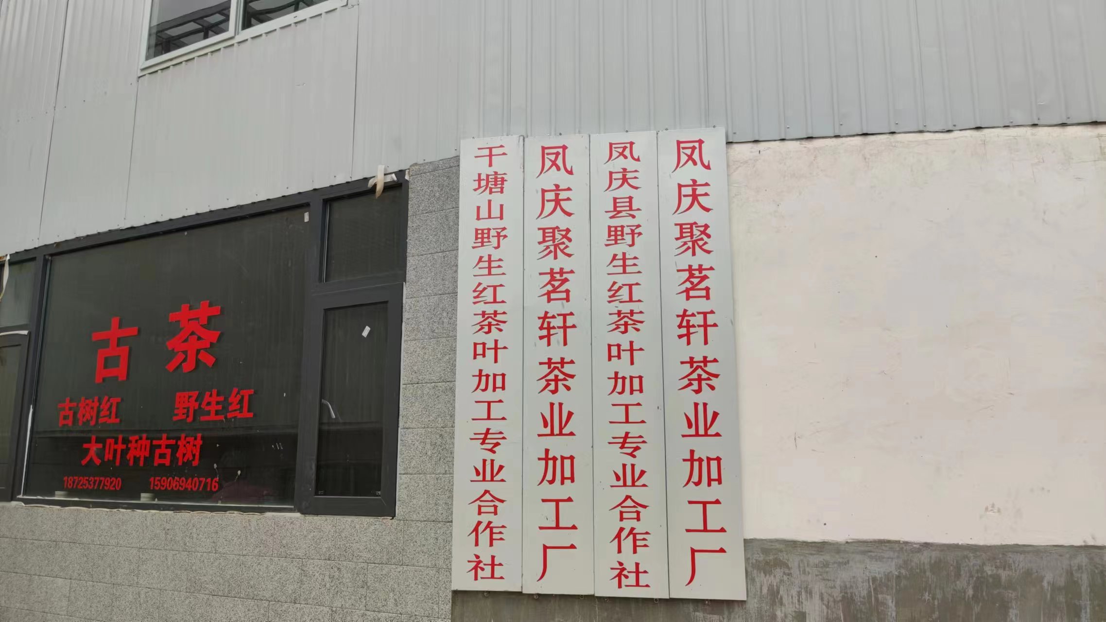 关于普洱茶的6大你知道几个,关于普洱茶你了解多少种