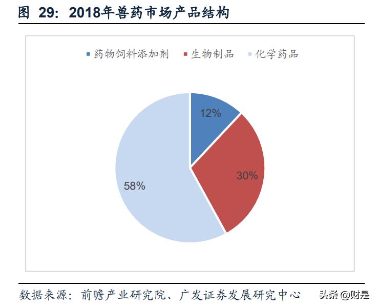 2024九洲药业深度分析,九洲药业报告
