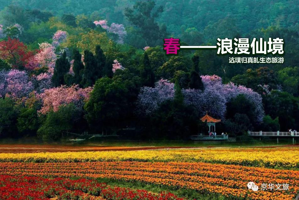 发展乡村旅游的十大规划,乡村振兴的规划案例分享