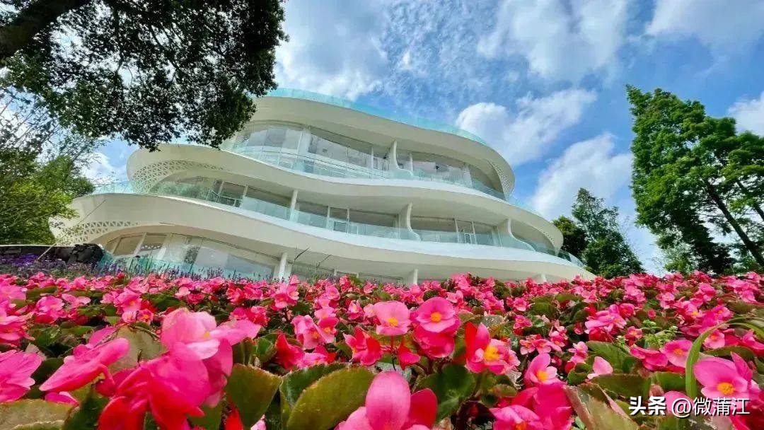 成都市全面推进乡村振兴意见建议,蒲江县乡村振兴