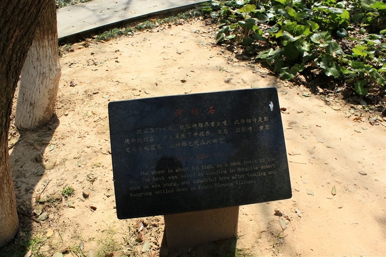 舟山群岛中的桃花岛,舟山桃花岛怎么玩