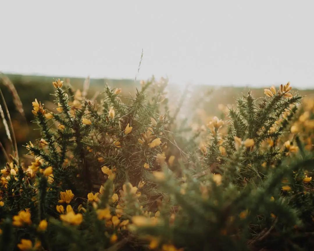 后半生最好的生活方式深度解析,后半生最好的生活方式朗诵