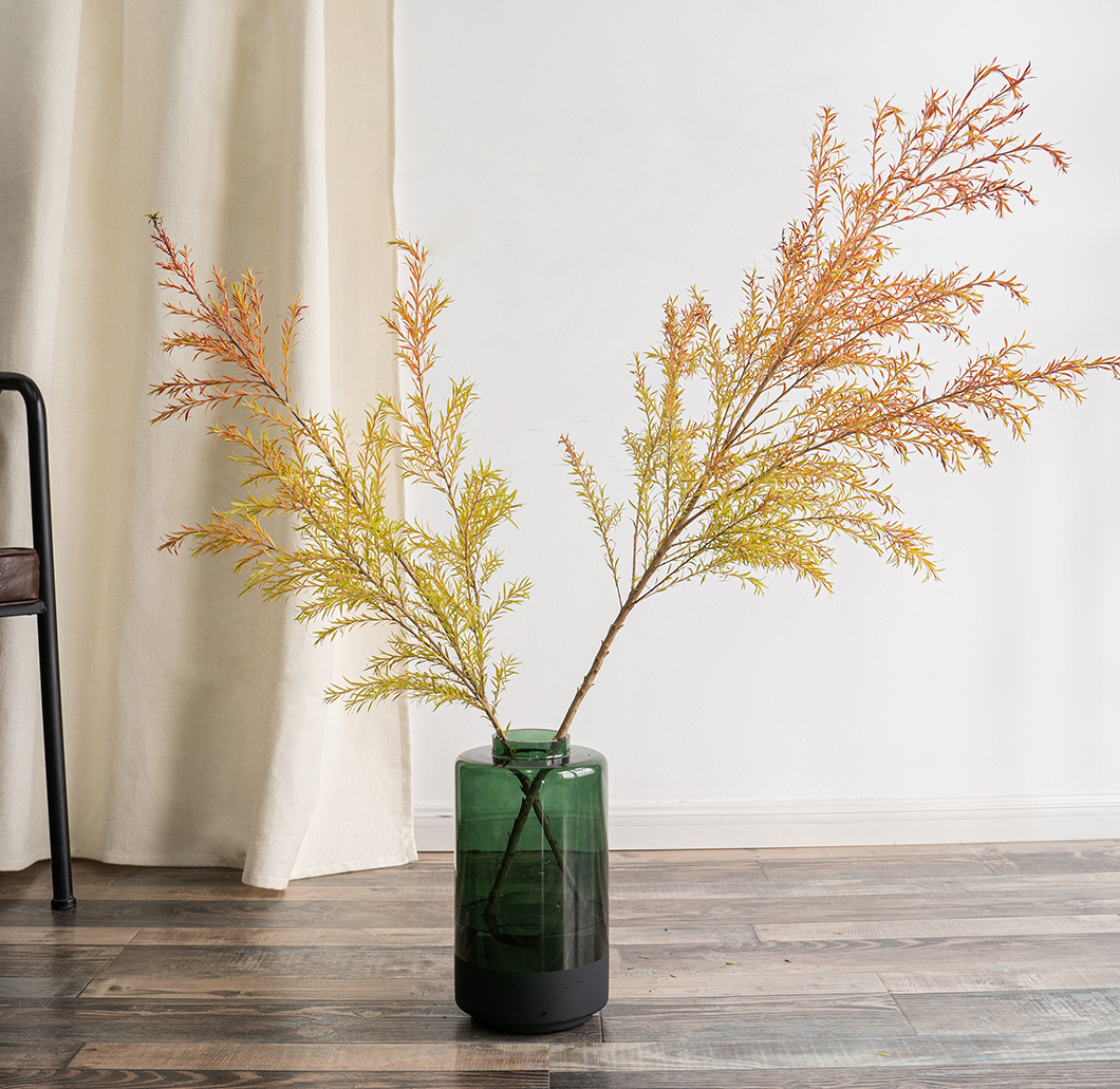 极简省钱又环保的居家生活,4款高颜值家居绿植