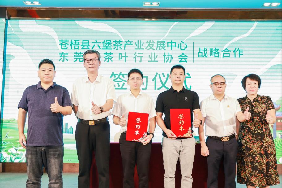 苍梧六堡茶交流会,苍梧六堡茶最新消息