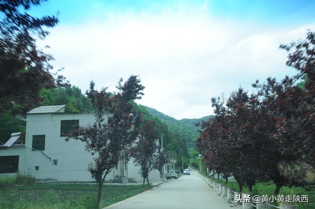 西安秦岭沣峪口夏季避暑去处,西安秦岭沣峪口附近哪里凉快