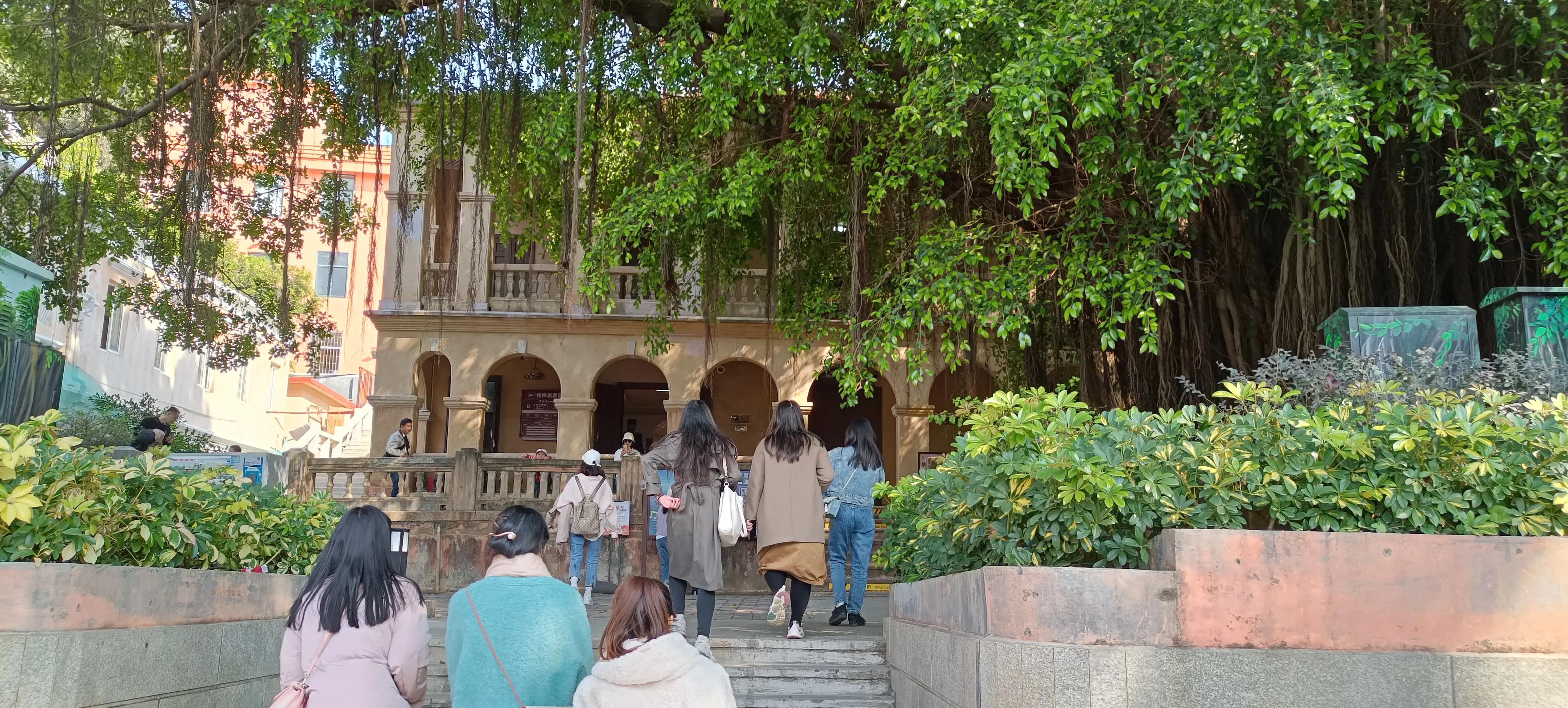 为什么去厦门都要去鼓浪屿,厦门鼓浪屿之行的感受