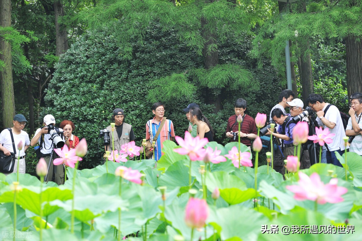 涓婃捣绻佽姳鎵撳崱鏅偣,涓婃捣鎵撳崱鏅偣