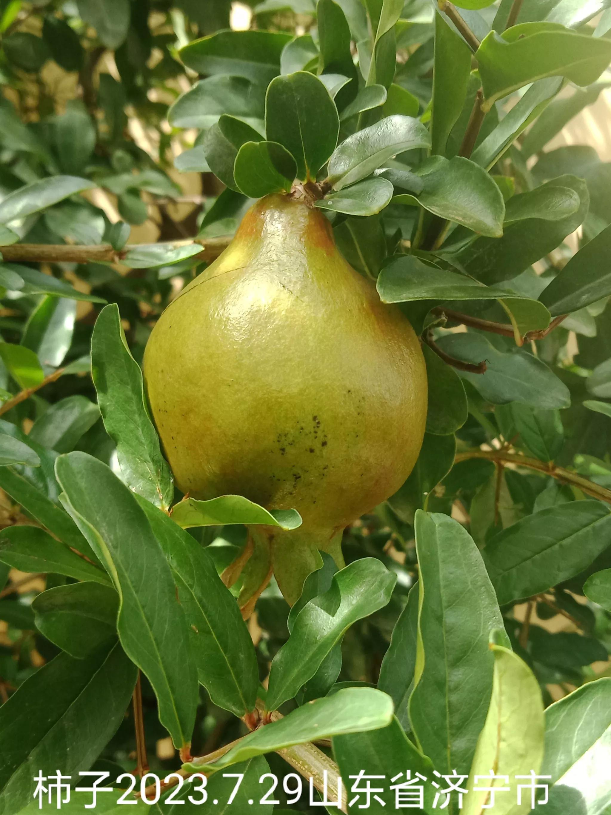 房屋漏水房顶需要怎么改造,旧房改造后楼顶漏水找哪里处理