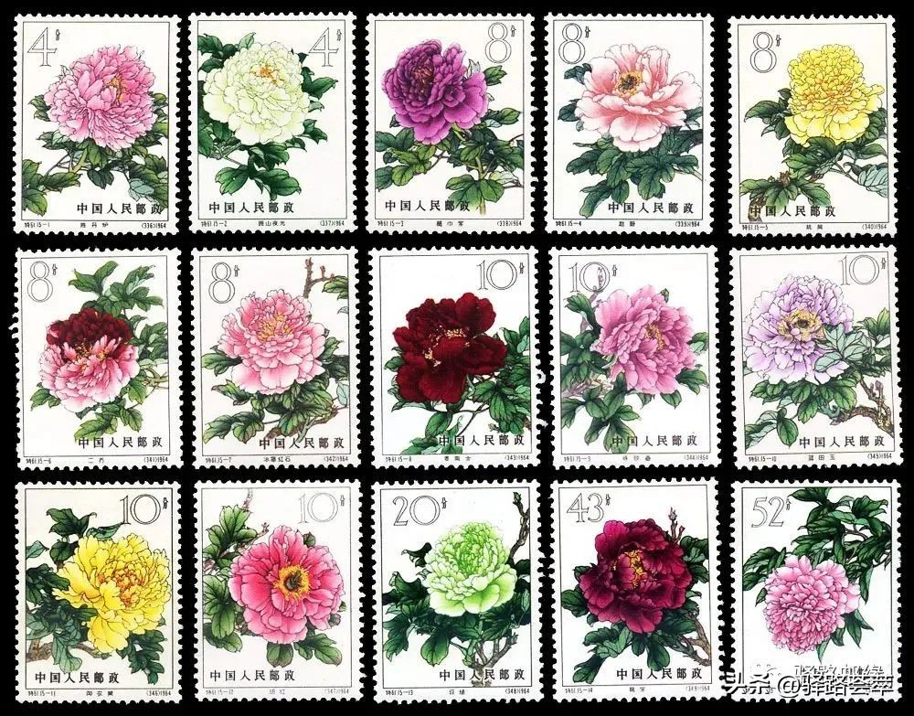 邮票市场暴跌分析,邮票投资到底能不能赚钱