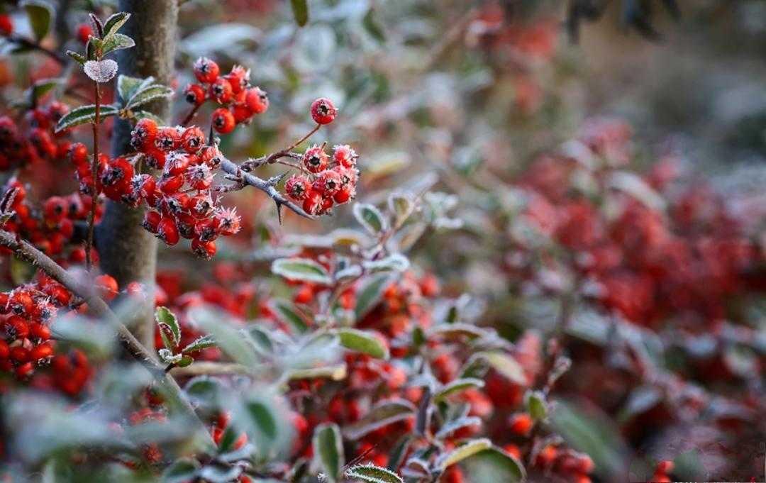 壬寅孟冬里的散词漫绪·06