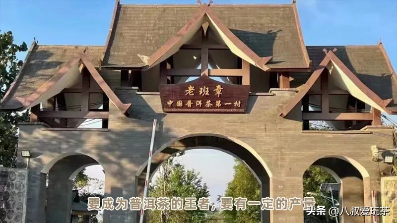 老班章为啥便宜,勐乐山49号老班章真的贵吗