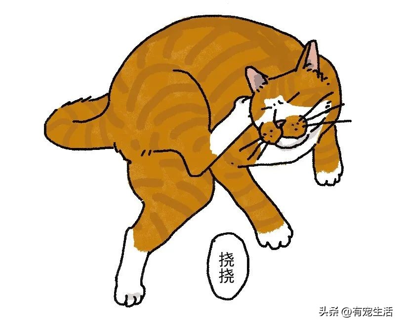 调皮猫咪怎么治,宠物猫调皮怎么办