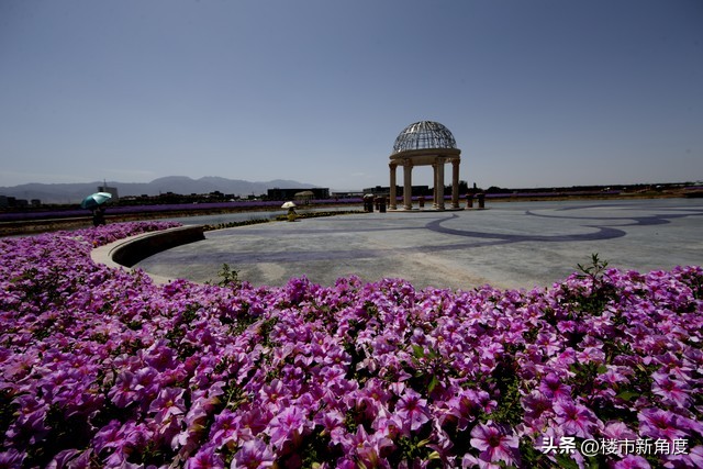 金昌市文明城市专题片,金昌是不是文明城市