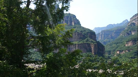 李忠强简介,河南安阳李忠强