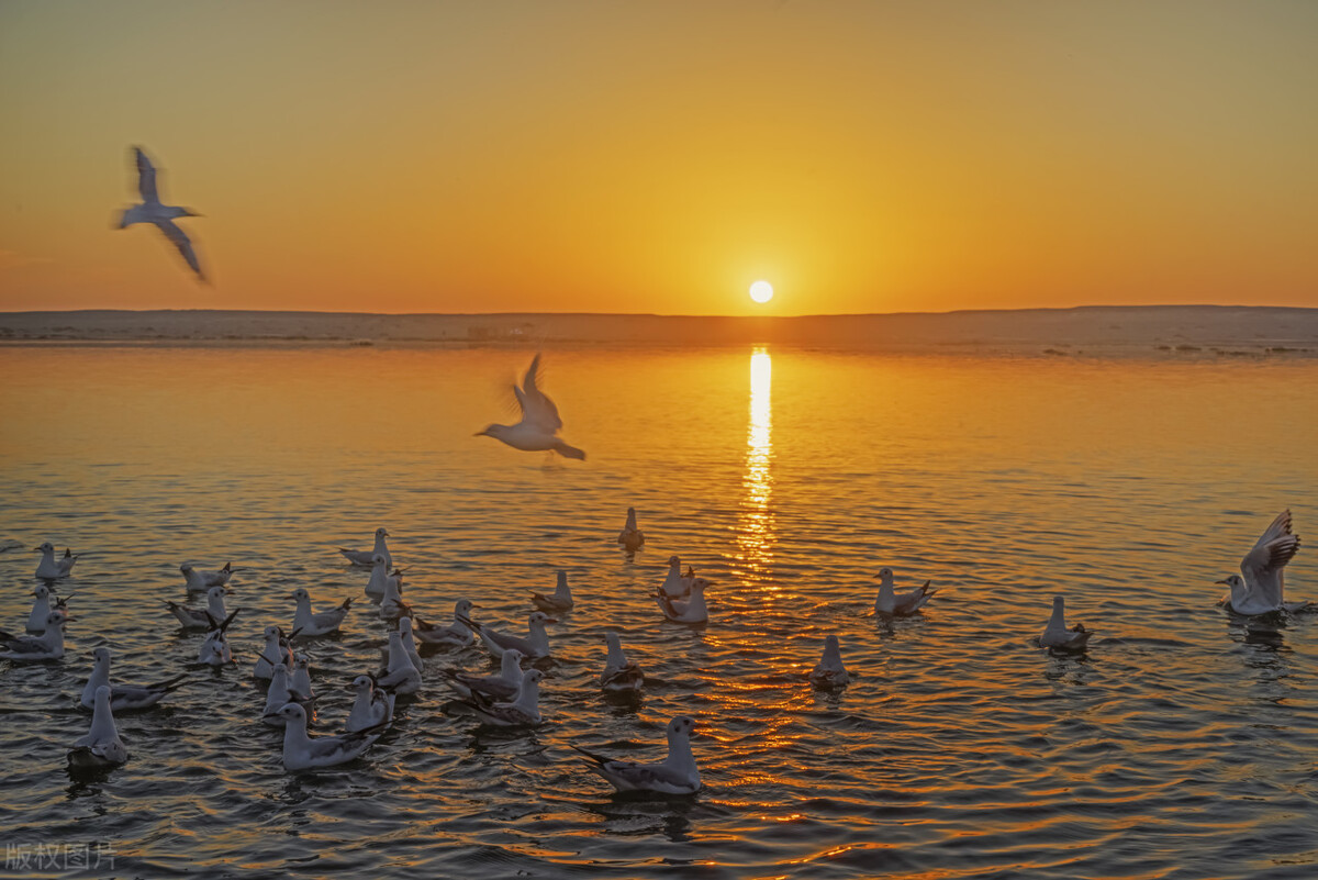 阿拉善旅游攻略必玩的景点地图,内蒙古阿拉善游玩攻略