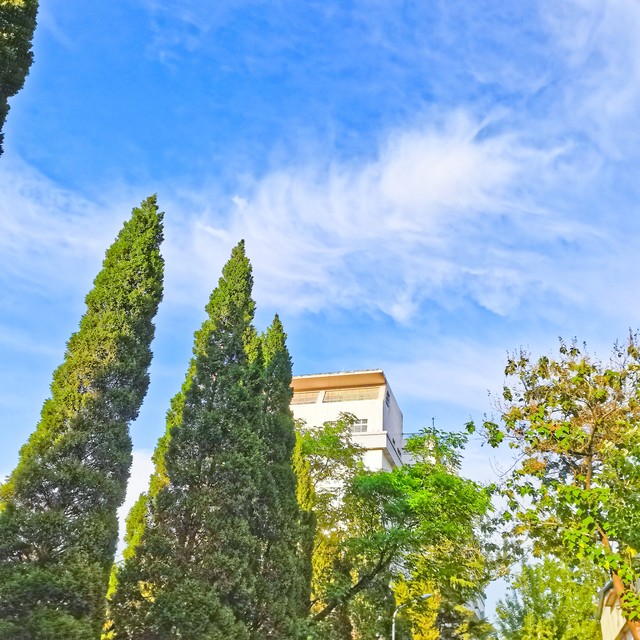 鎴戝拰濂圭殑鍏崇郴,浣犵煡閬撴垜鍜屽ス鐨勫弸鎯呭悧