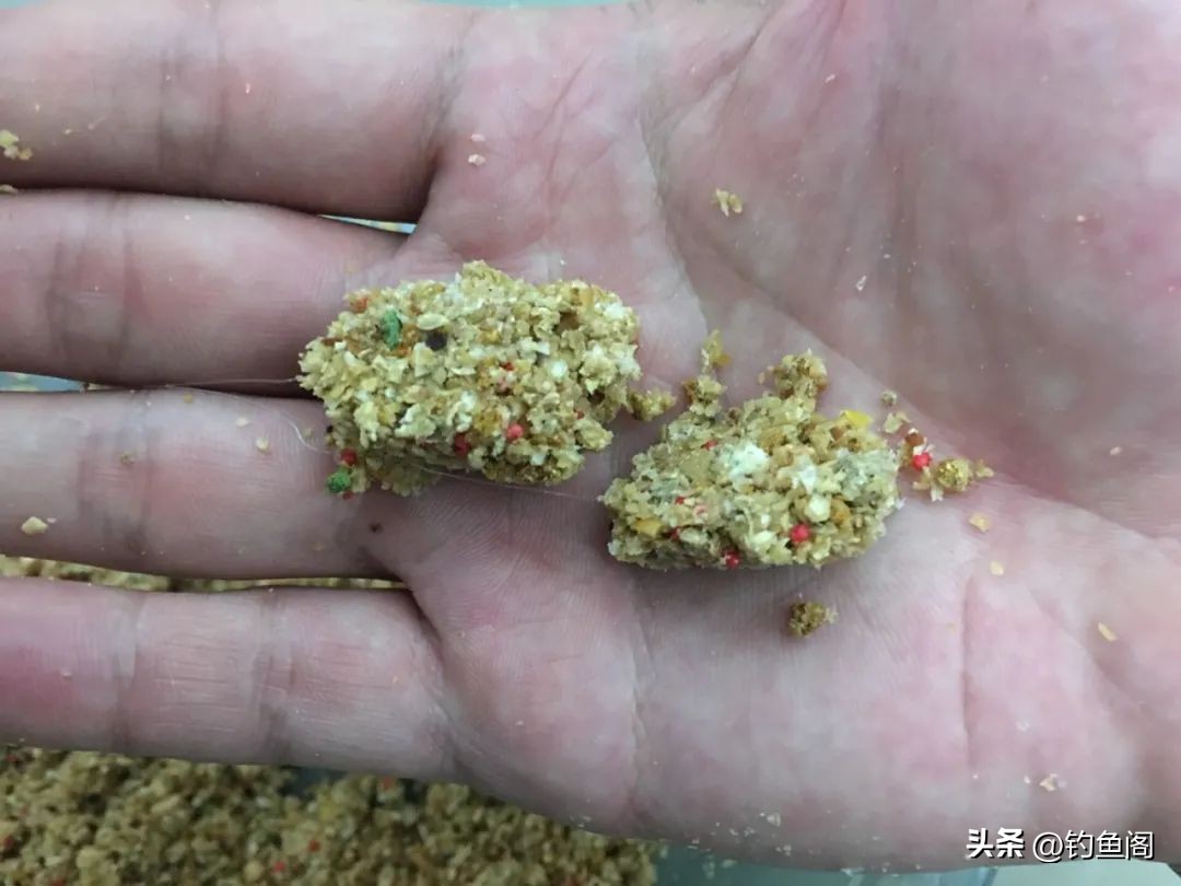 秋冬钓鲤鱼用啥味型玉米,冬天在野钓鲤鱼用什么味型的玉米