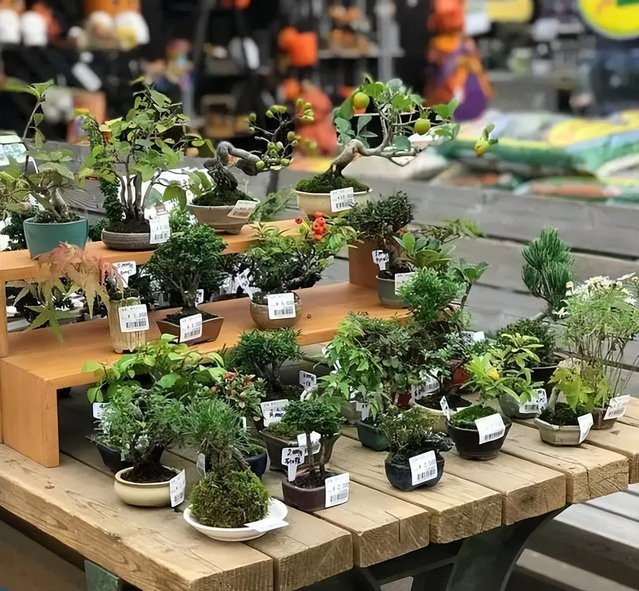 五一节去哪里玩最刺激,五一不可错过的好去处