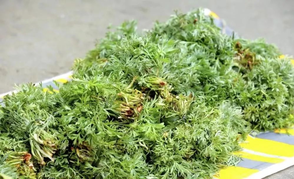 醉美偏坡美食团购,醉美偏坡海鲜烧烤