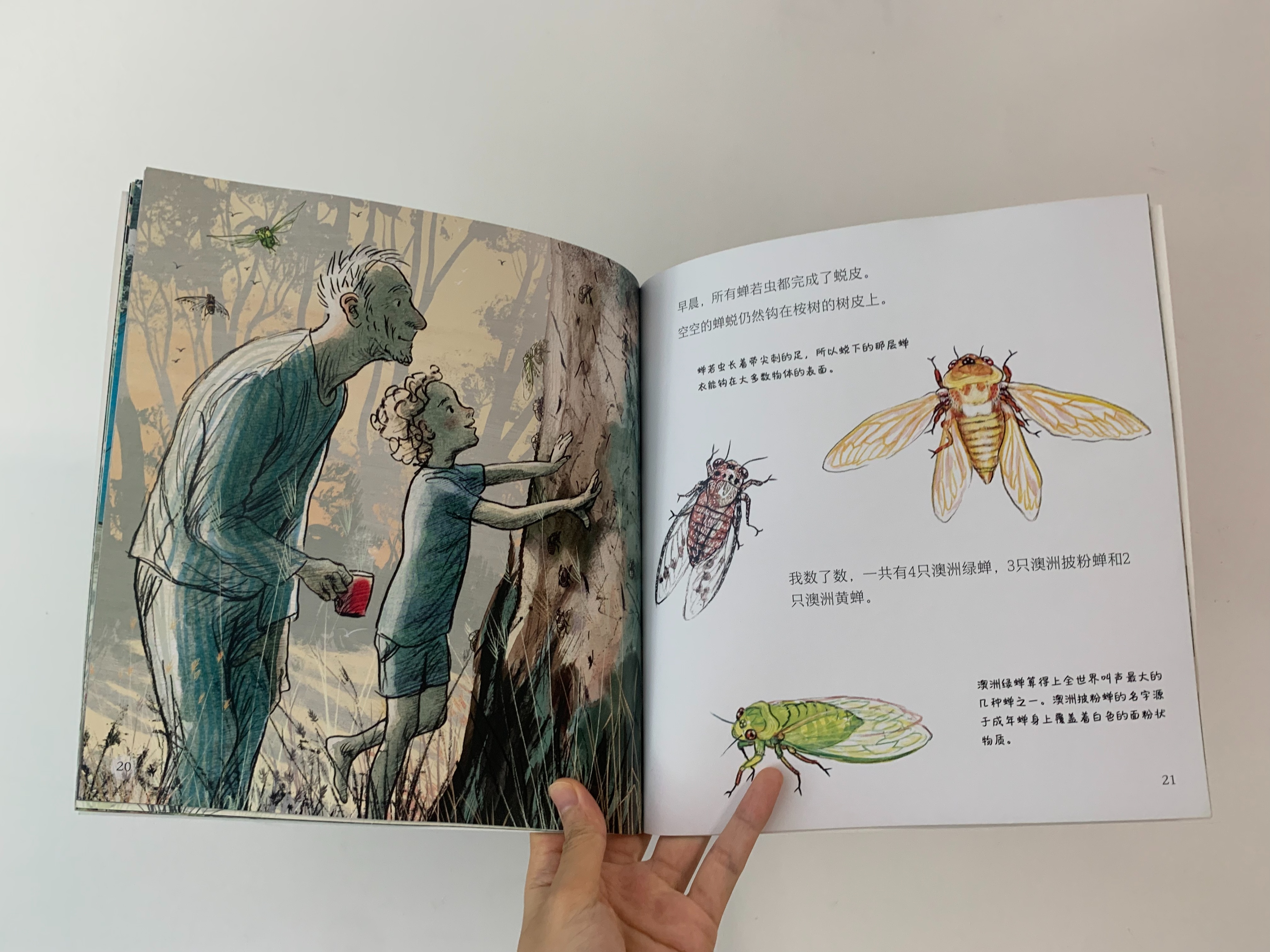 如何启发孩子观察大自然,培养孩子自然观察