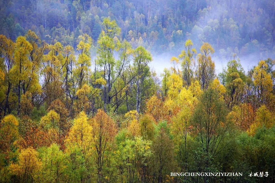 秋天大兴安岭最美的地方,秋天美丽的大兴安岭