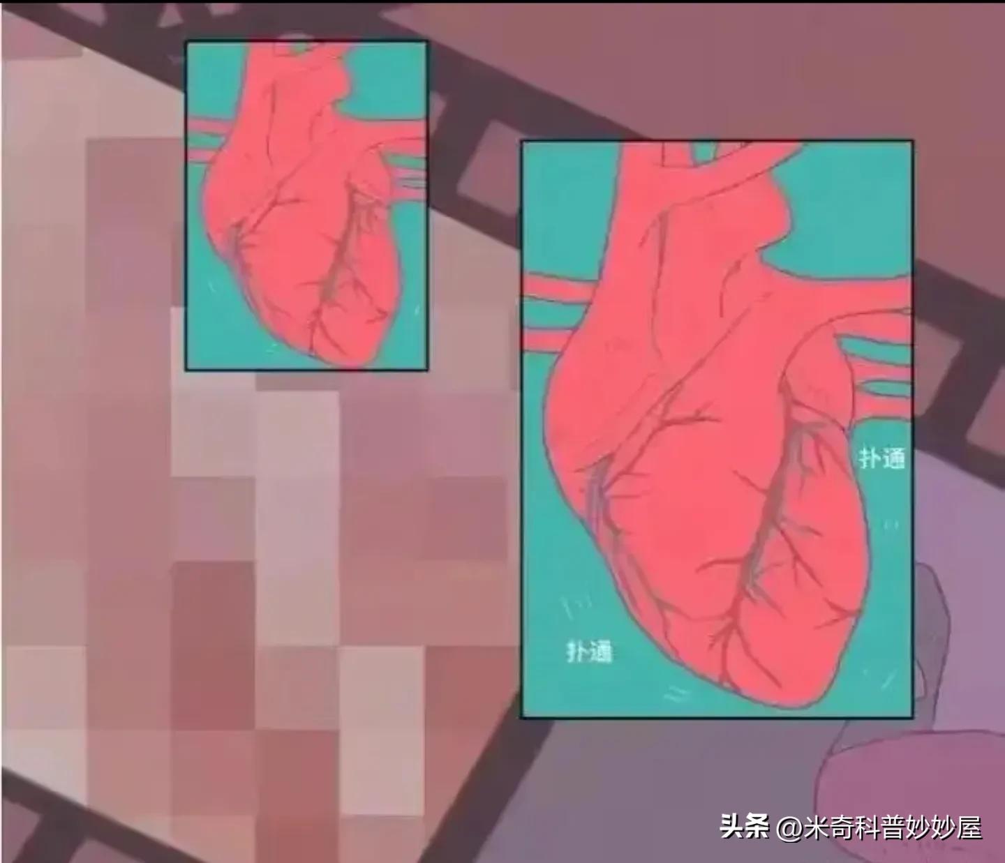 男女做同一个梦的概率,男女做不同的梦的后果