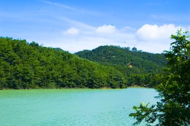 借问疫情何处去，根哥遥指大岭山
