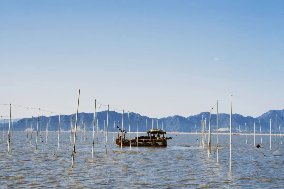 海美、小吃巨好吃！这个神还原游戏世界的小城，不该这样被埋没！