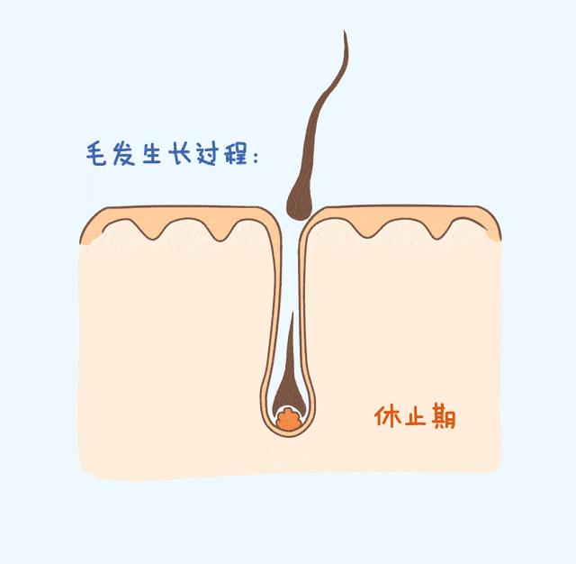 女性下面的毛，到底剃光好还是留着好，一次性解答你的疑惑