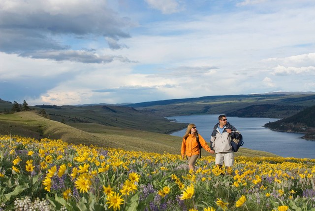 夸人句子男生简单,夸人句子100句
