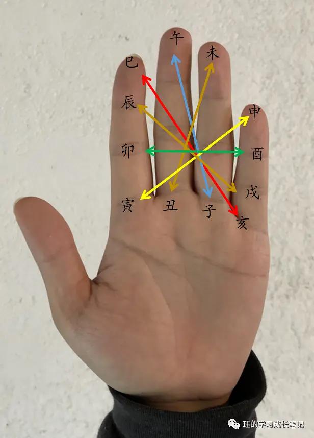 易经零基础怎样排日柱,零基础学易经十二地支