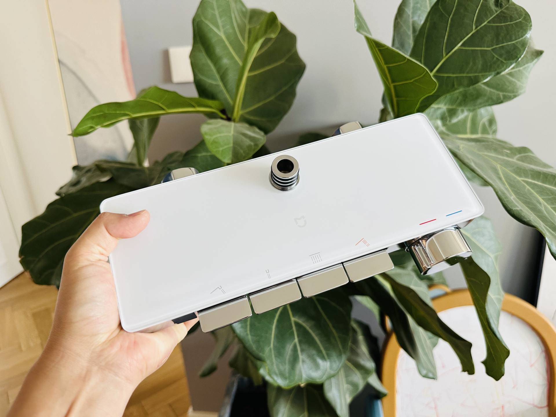 绫冲鎺ф俯娣嬫荡鑺辨磼s1璐ㄤ繚澶氫箙,绫冲娣嬫荡鑺辨磼s1鏄亽娓╄姳娲掑悧