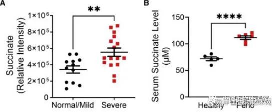 治疗口腔溃疡凝胶医院研制,治疗牙周病的常用的含漱剂