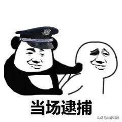 高铁被打女孩事件完整版最新消息,高铁打人事件被打女孩