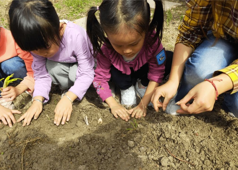 农场办抓鸡游戏3只鸡引百人追，入场费10元，“玩”出来的大财富