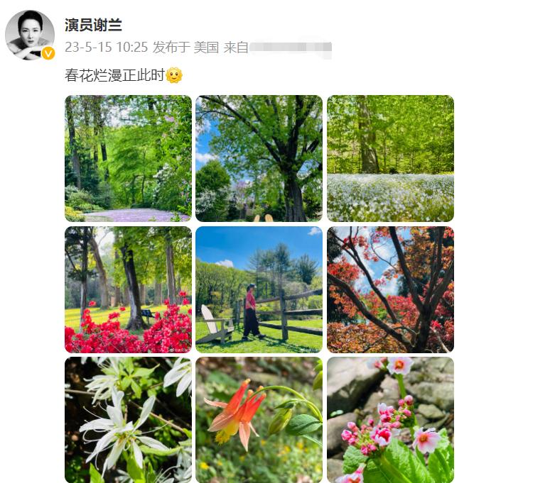 47岁谢兰近照曝光,演员谢兰得了什么病