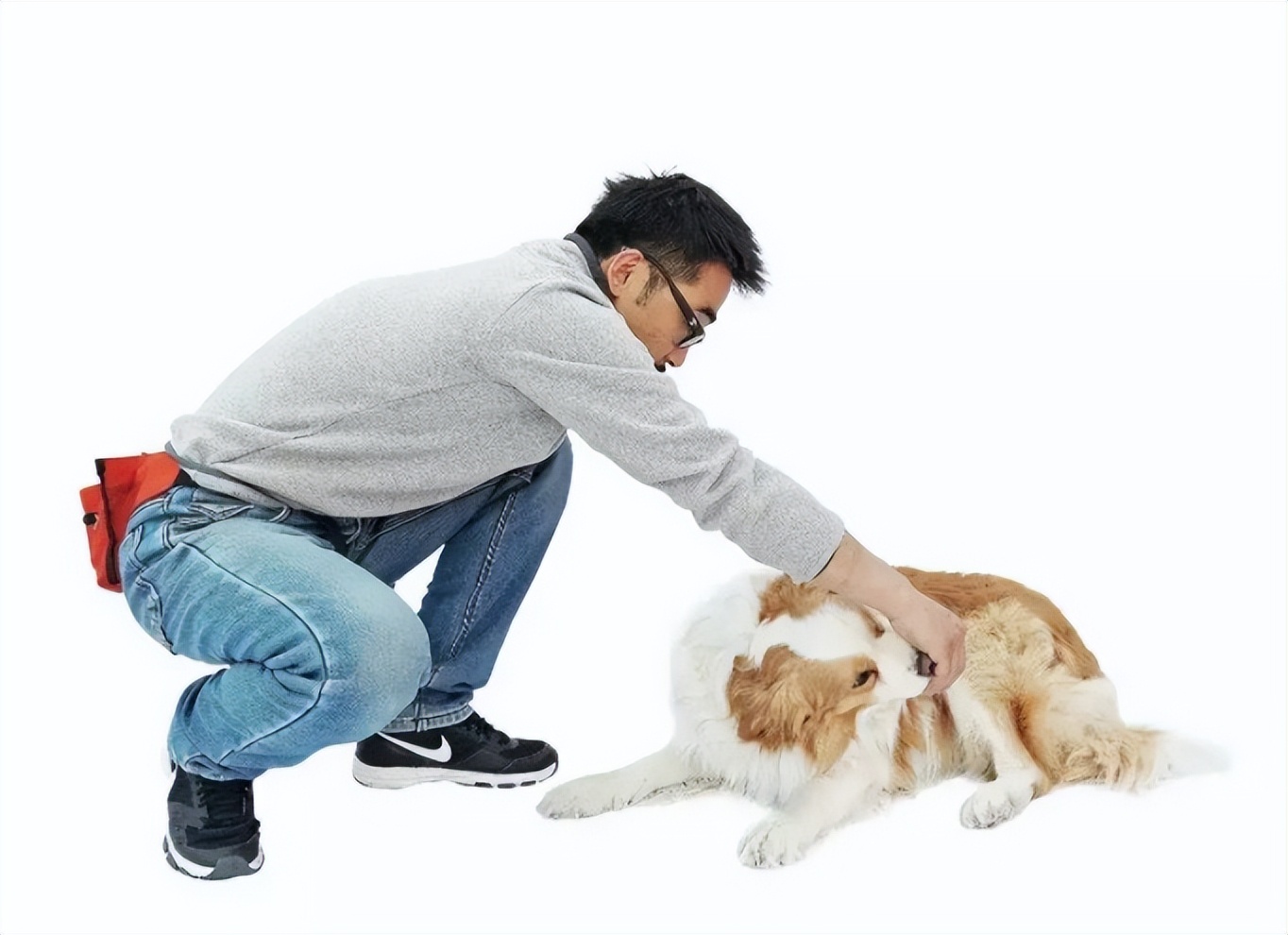 狗狗太兴奋了喜欢扑人怎么办,狗狗跳起来扑主人是什么意思