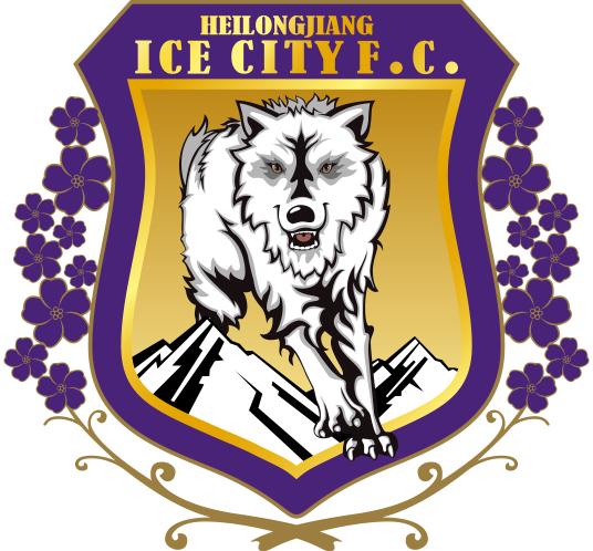 黑龙江冰城足球俱乐部是什么水平,黑龙江冰城足球俱乐部成立时间