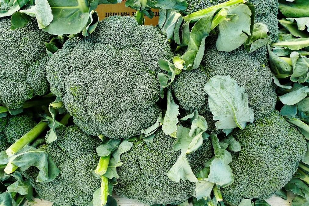 日本企业损失百亿,日本垄断全球半导体产业链2019