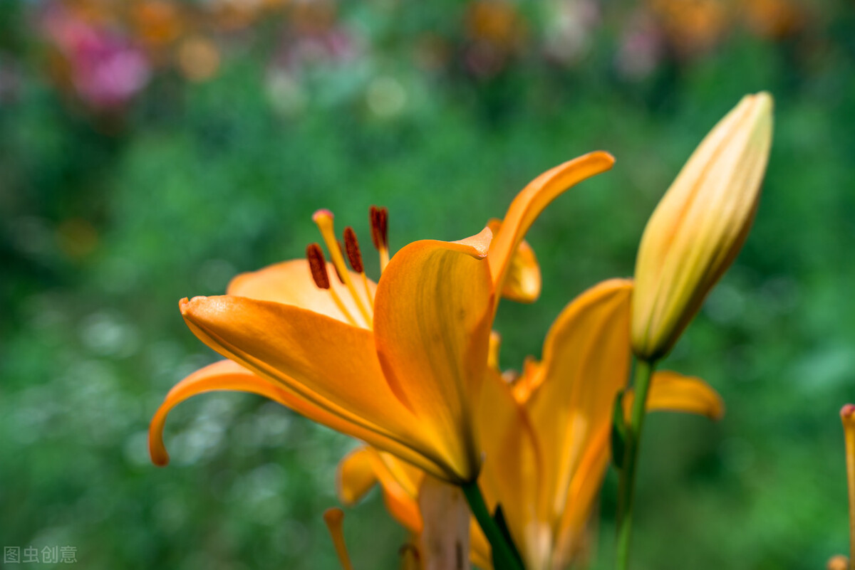 52岁单身女人的生活,52岁独居女人的生活