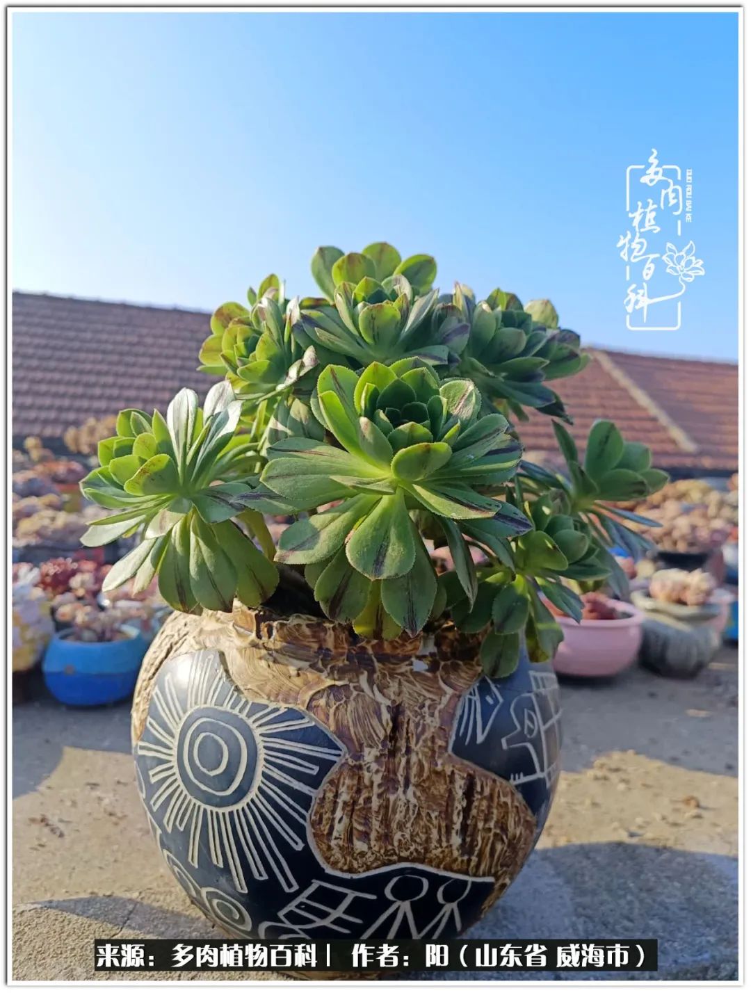 浜洪棿鐑熺伀鑷湁涓囧崈棰滆壊,浜洪棿鐑熺伀鐨嗘槸骞冲嚒棰滆壊