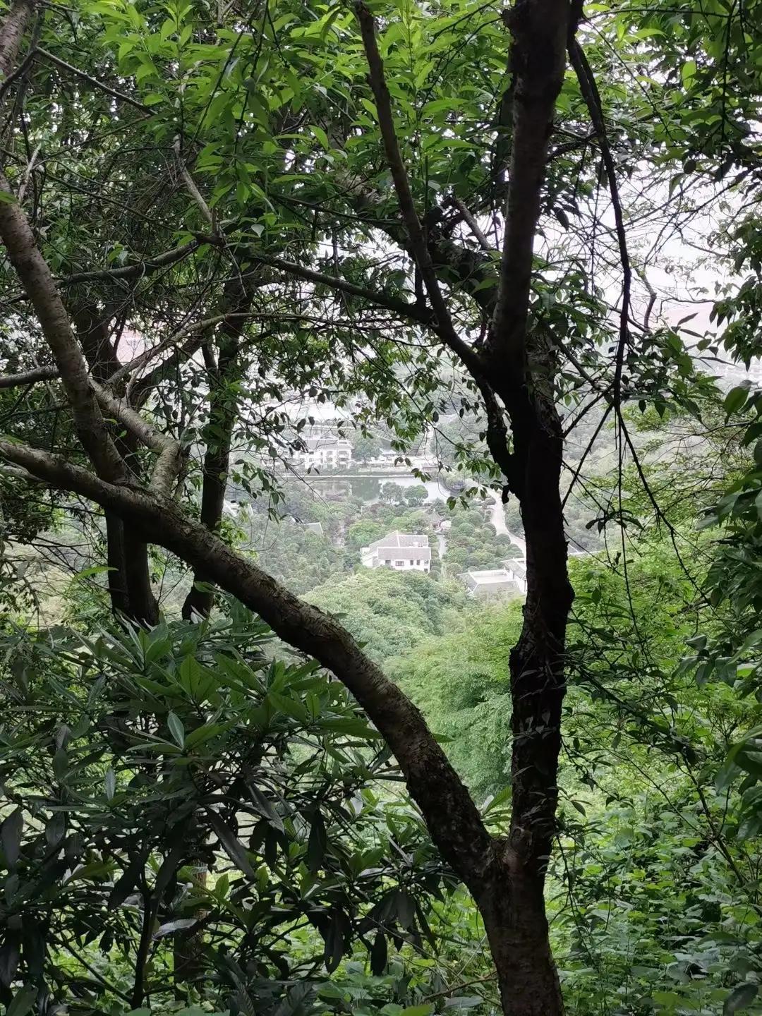 父亲的精神力量,我的精神支柱爸爸妈妈