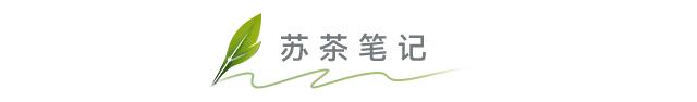 苏州是现代完美的城市吗,为什么说苏州是个慢节奏的城市