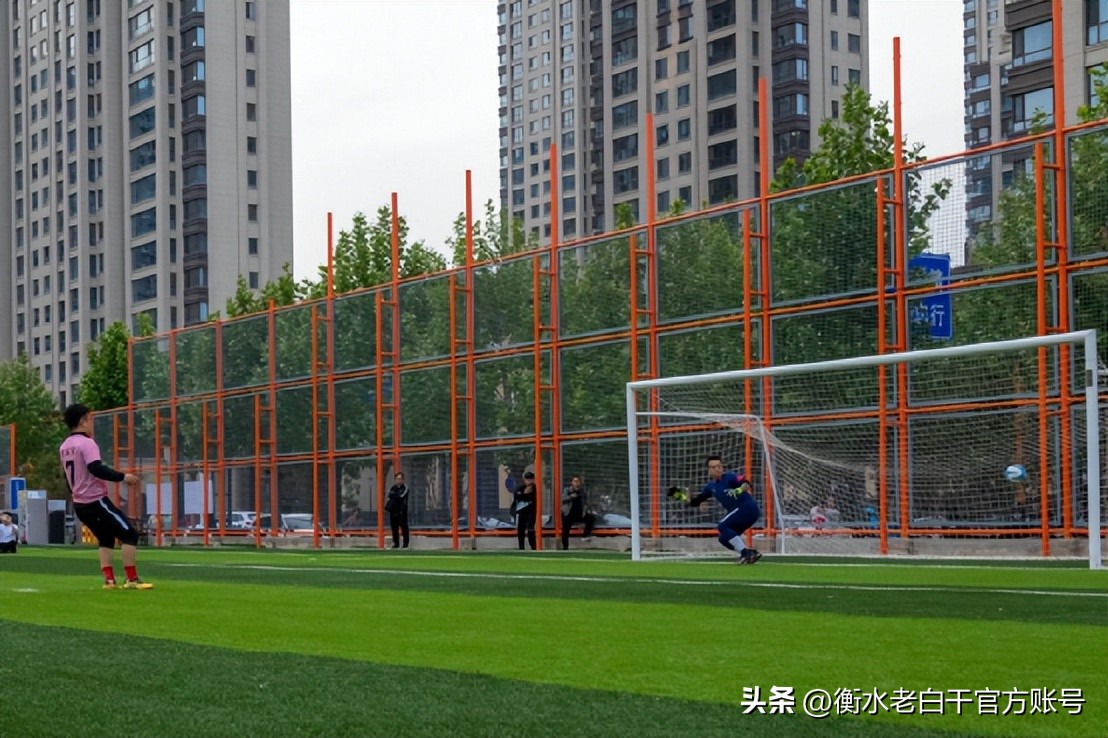 衡水老白干篮球联赛2020,衡水老白干石家庄活动