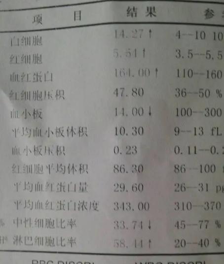 血小板减少性紫癜饮食注意什么,升血小板的食疗最快方法