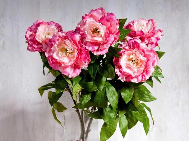 射手座不搭理你的四点原因,拥有较多人生选择的人,不会受限