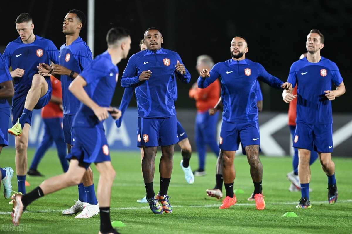 荷兰队长范戴克,荷兰队范戴克简介