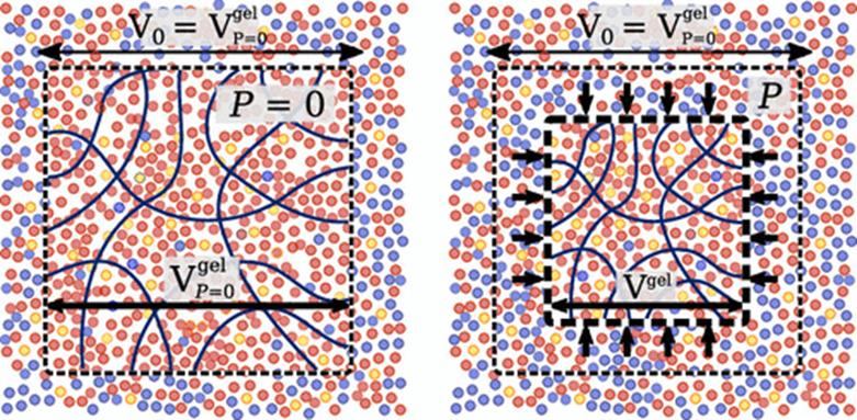 ​Macromolecules|聚电解质水凝胶作为多价离子溶液脱盐的牵引剂