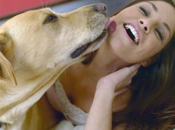 狗狗总是喜欢舔人,狗狗为啥老是舔自己大腿内侧的毛