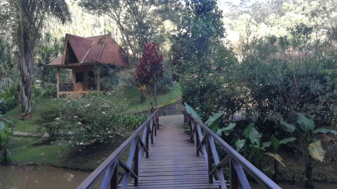 可爱妖娆的小精灵，超过瘾|这里的狐猴也太好撸了吧！